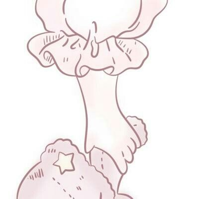 伊美双方停火生效